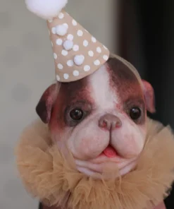 Puppy