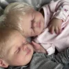 twin reborn dolls