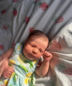 Affordable reborn dolls