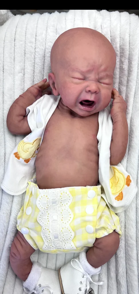 Reborn Dolls Silicone